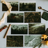 kartītes komplekts I MANI MEŽI