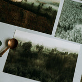 kartītes komplekts I MANI MEŽI